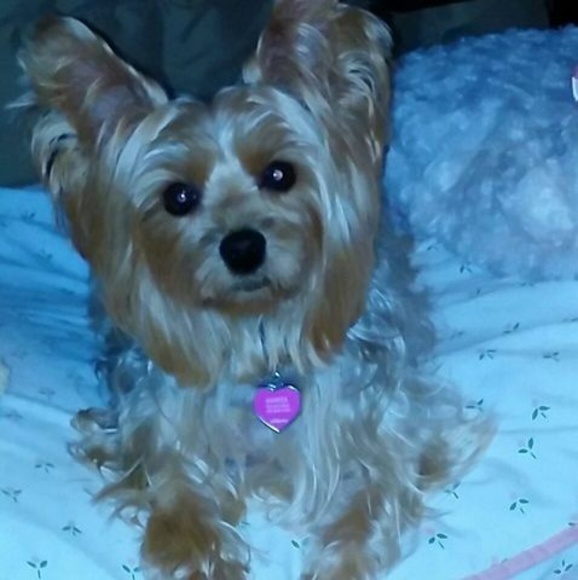 Meet your Posher, Marta - Picture 1 of 1